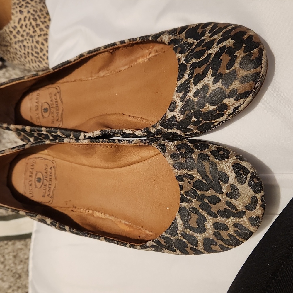 Lucky brand cheetah print flats size 6